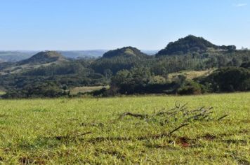 Foto - Papéis de Parede