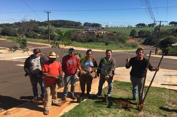 Prefeitura arboriza vias recentemente asfaltadas