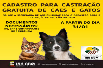 Rio Bom abre cadastro gratuíto para castração de cães e gatos