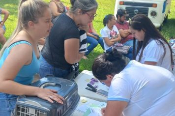 CastraPet esteriliza 80 cães e gatos em Rio Bom