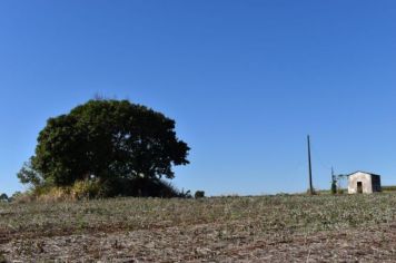 Foto - Papéis de Parede